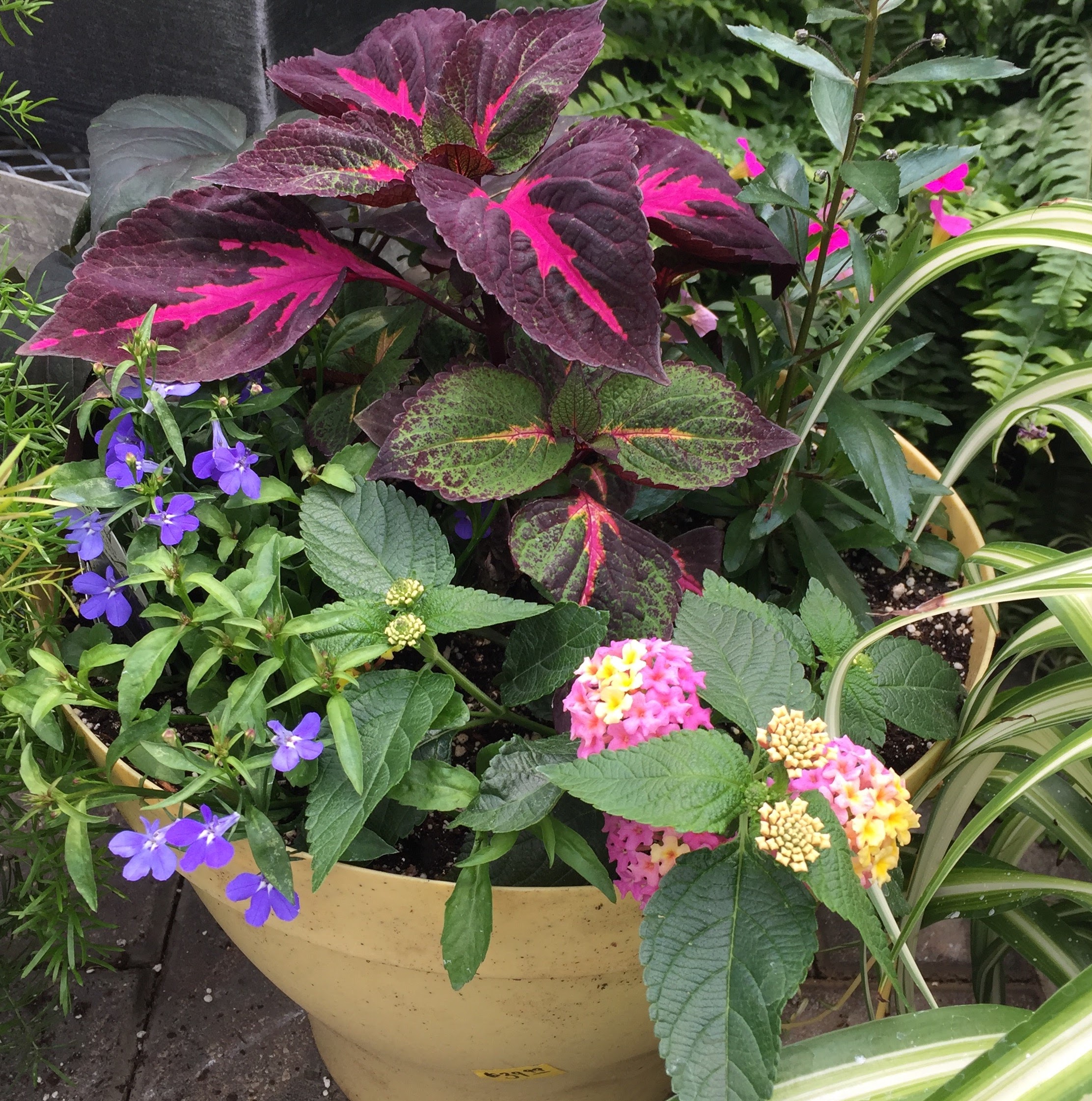 Garden Center TOM'S Farm Market