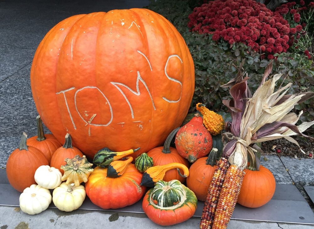 TOM's Farm Market Huntley, IL